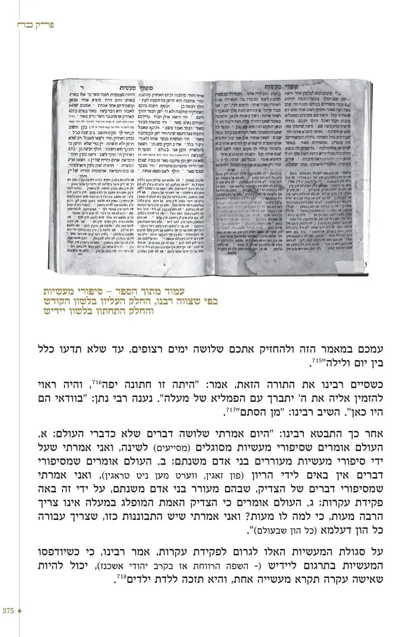 רבינו - הביוגרפיה השלמה של רבי נחמן מברסלב – תמונה 9